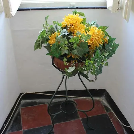 Apartment Old Town Levanto